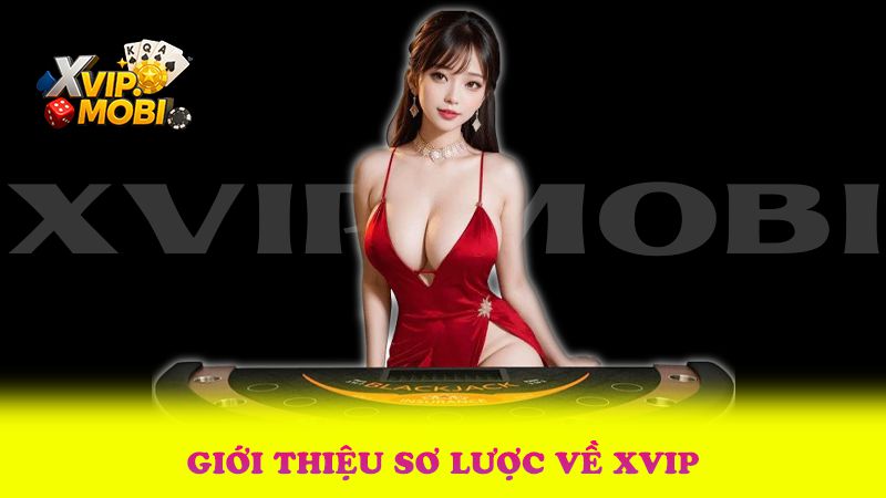 XVIP ⭐️ Sân Chơi Cá Cược Đình Đám Casino 2025 |ĐK+59K| 1 Giới Thiệu Sơ Lược Về Xvip